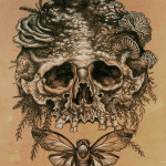 Skull and Cicada by Shaun Beaudry