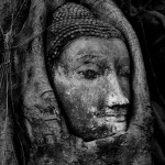 Buddha Head, Ayutthaya Thailand by Kevin Martin